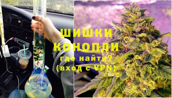ГАЛЛЮЦИНОГЕННЫЕ ГРИБЫ Щёлкино